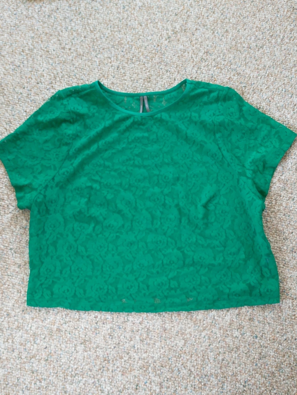 Anthropologie Stretch Lace Mesh Lace Crop Top Size 1X